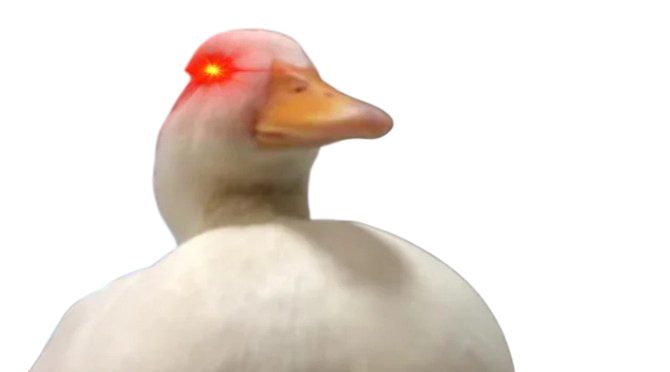 crazy-duck